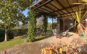 Il Giardino Del Giuggiolo